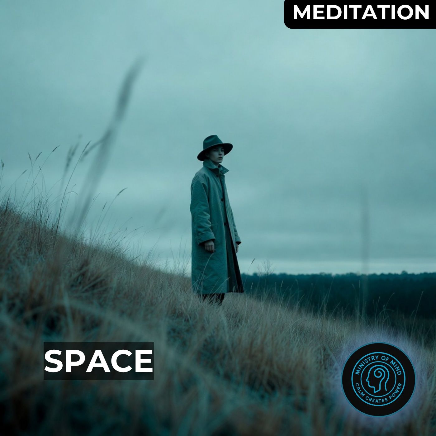 Meditation | The Space Between Stimulus and Response
