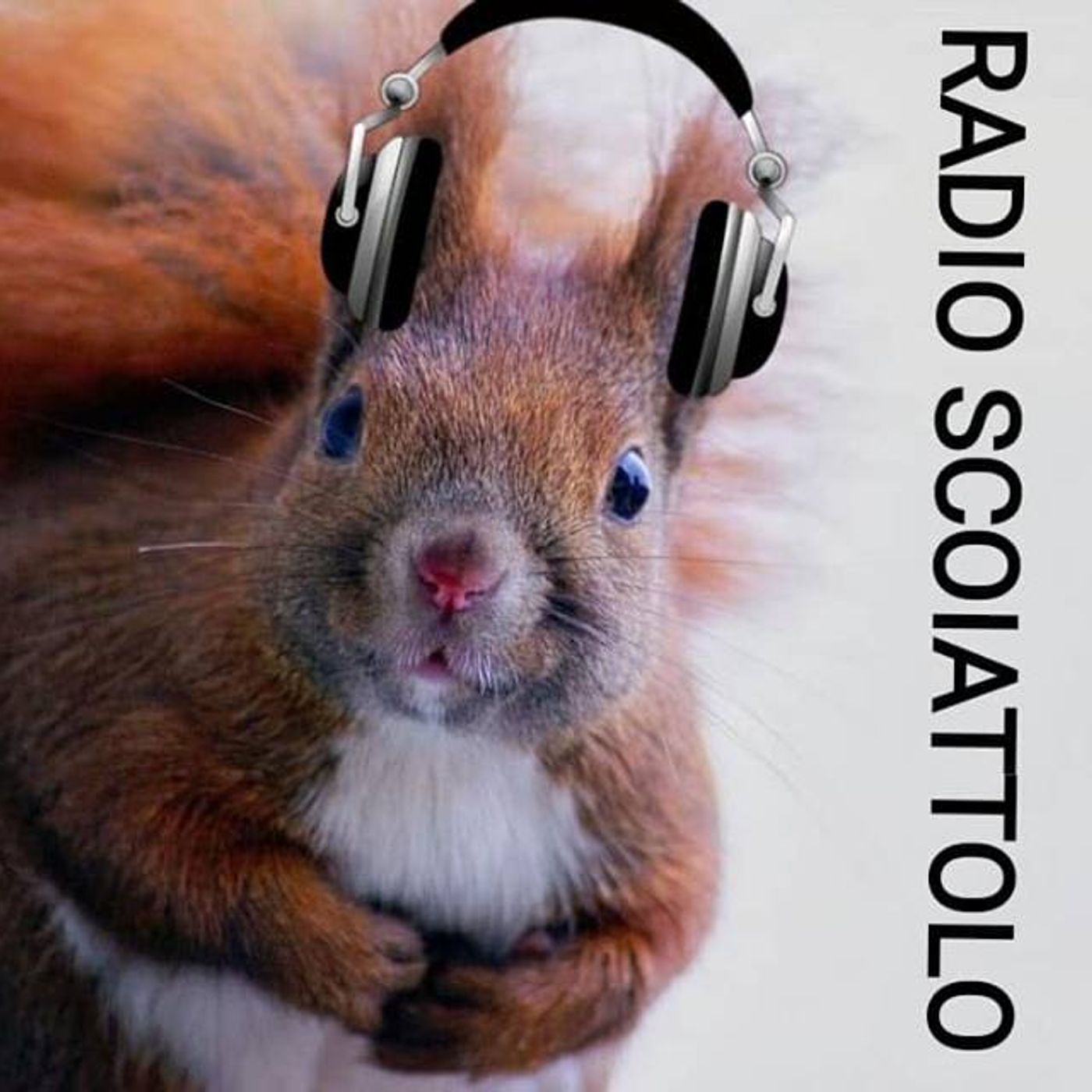 Puntate Radio Scoiattolo