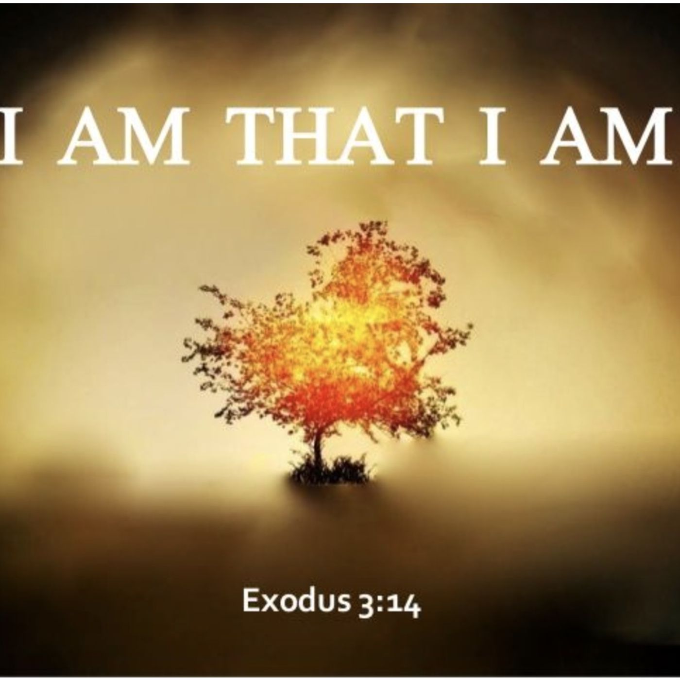 Revelation chapter 6 / October 28th / 2024