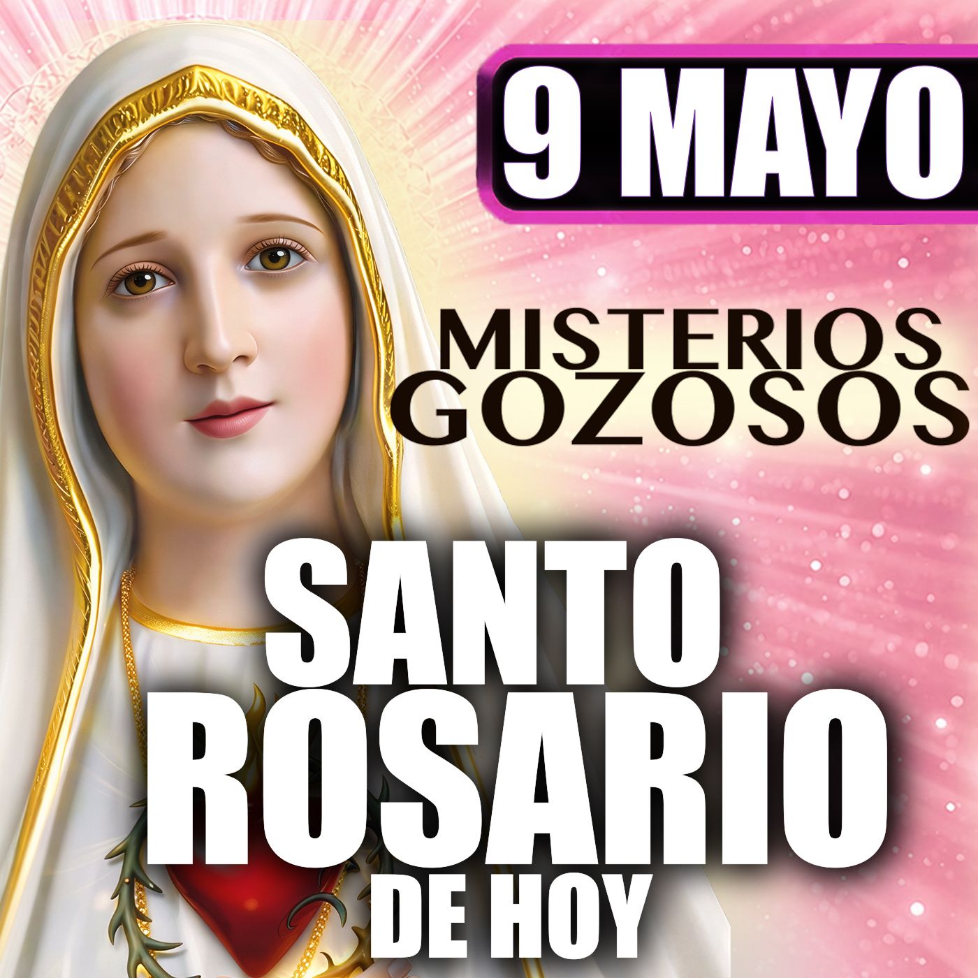 Santo Rosario Mes de María 🌸9 de Mayo de 2026 | Misterios Gozosos