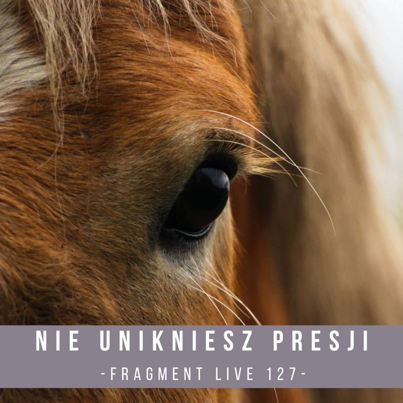 Nie unikniesz presji w treningu konia - fragment live 127 episode artwork