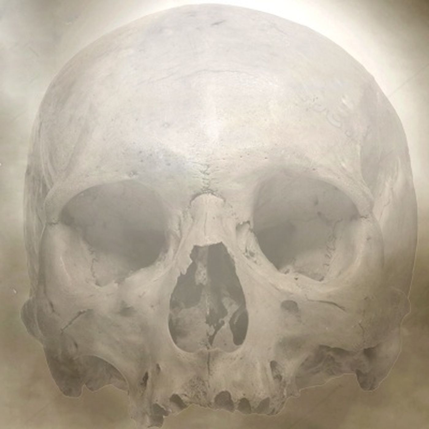 Pilares Humanos Historias De Terror - REDE