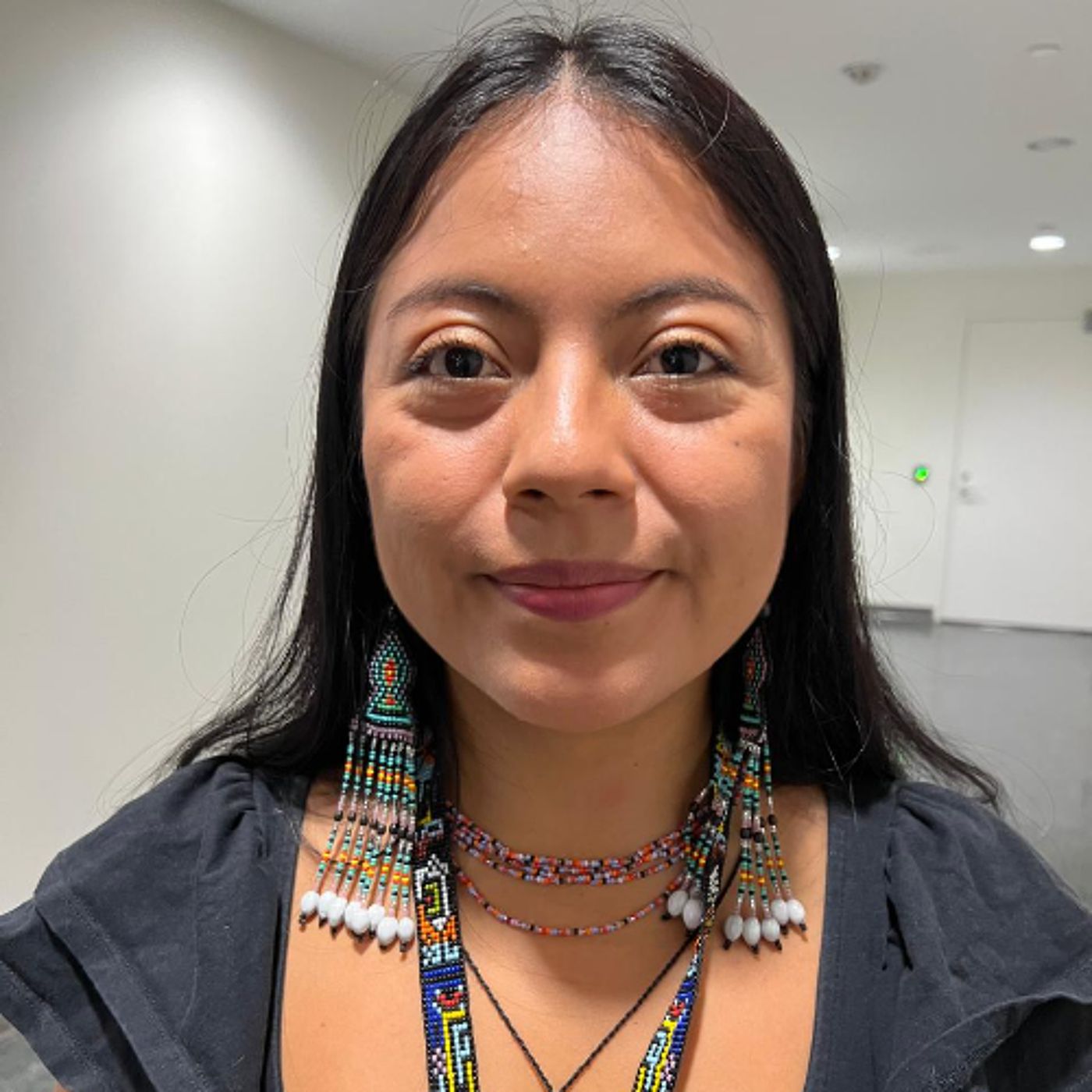 UNPFII 2025 - Mercury Is Contaminating Our Rivers