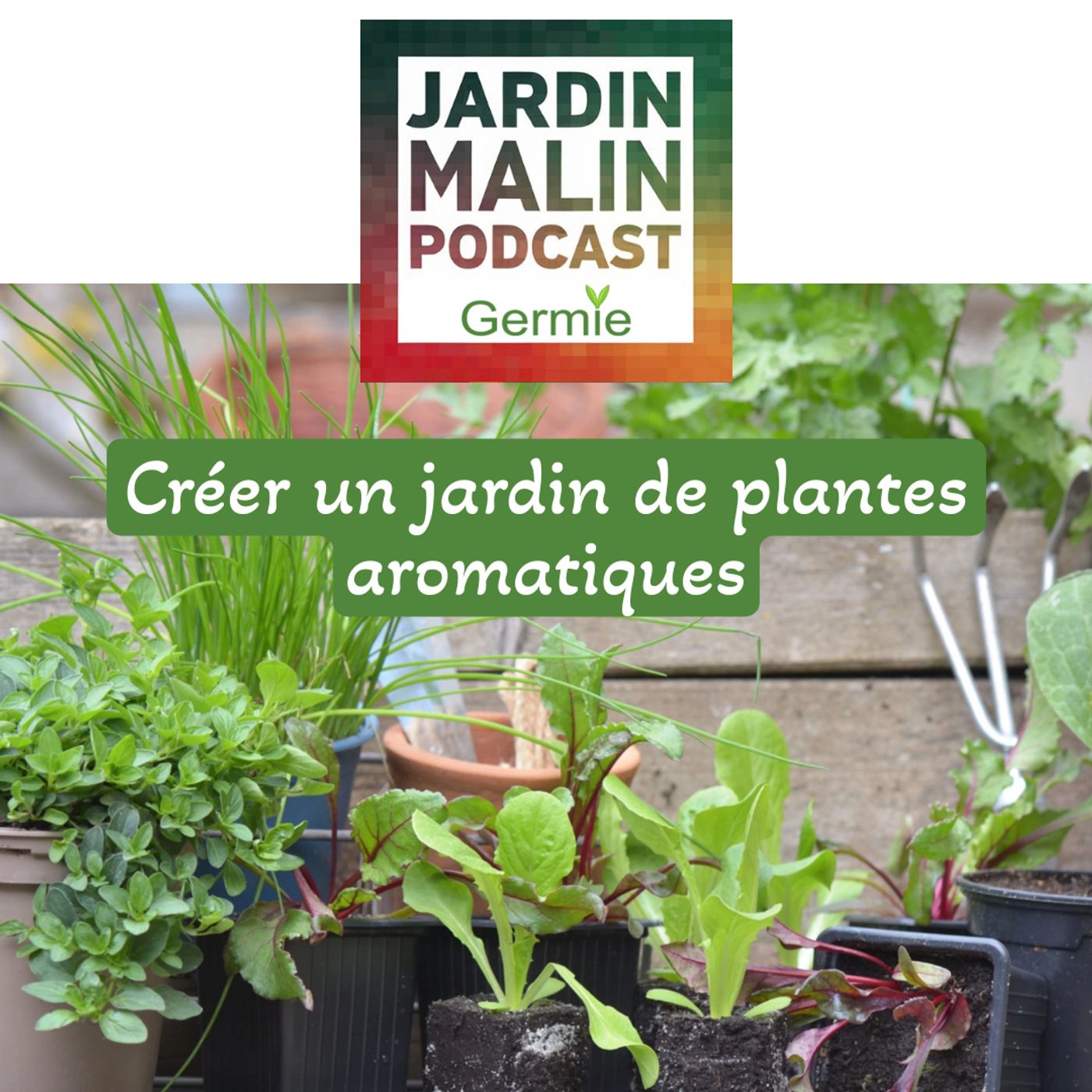 JARDIN MALIN by Germie