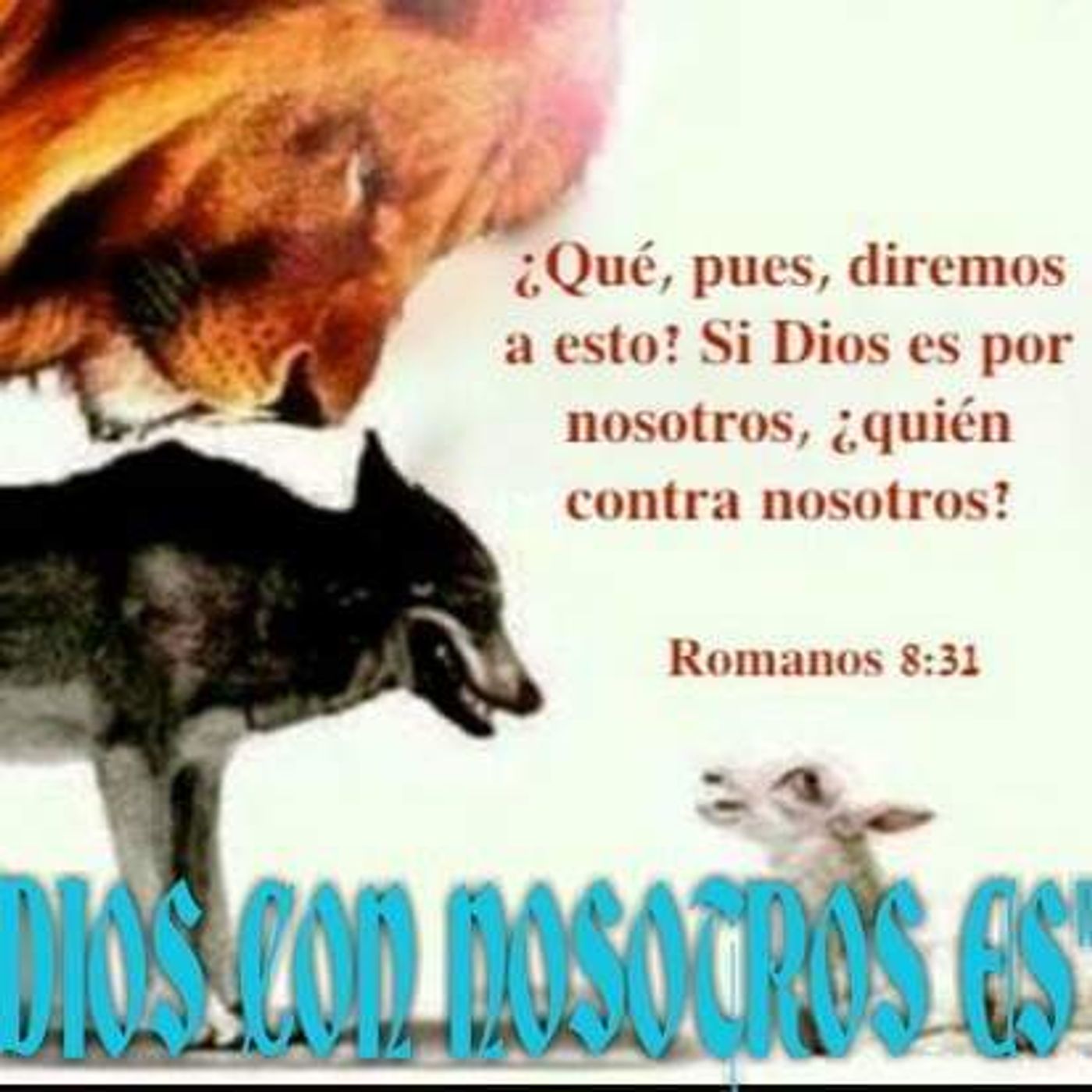RADIO. Dios con Nosotros Es\