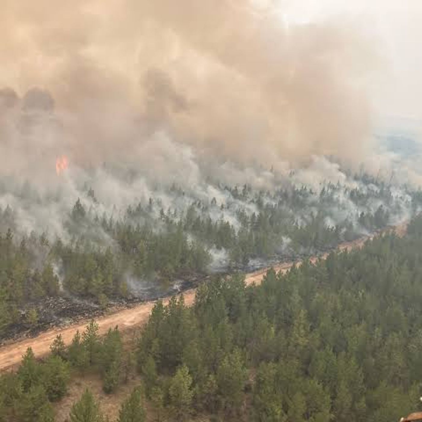 'Devastating to lose everything you've ever had' B.C. wildfire evacuee episode artwork
