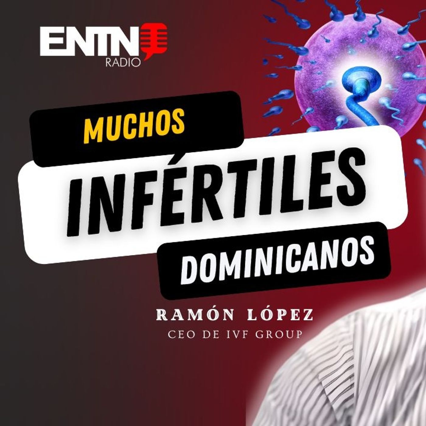 Cómo lograr un EMBARAZO asistido sin perder todos tus ahorros Cómo lograr un EMBARAZO asistido sin perder todos tus ahorros