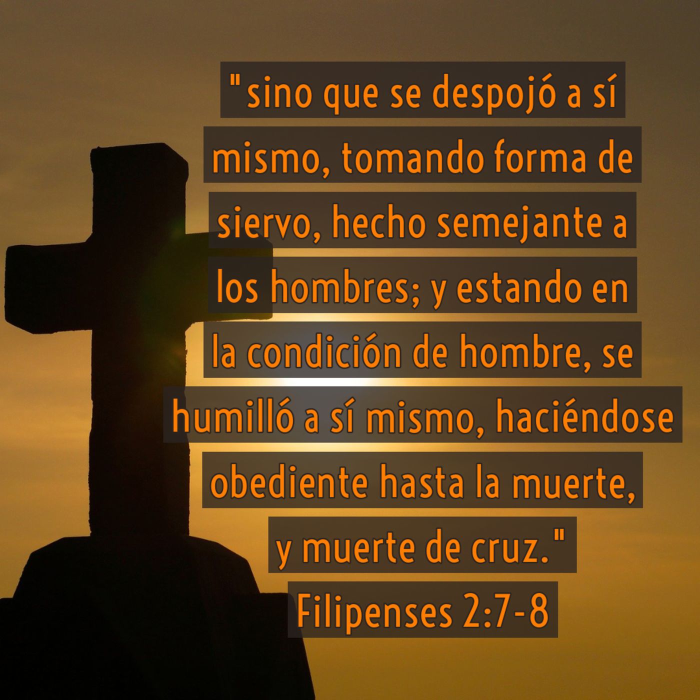 Ministerio UMCD - Un Momento Con Dios | Reflexiones Cristianas