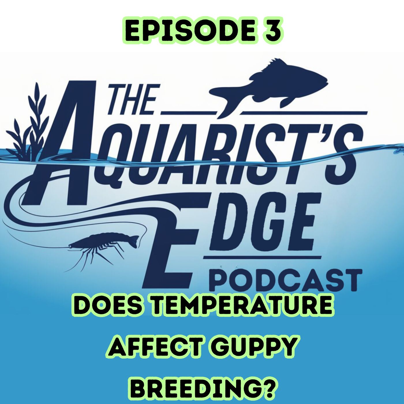 The Aquarist\'s Edge