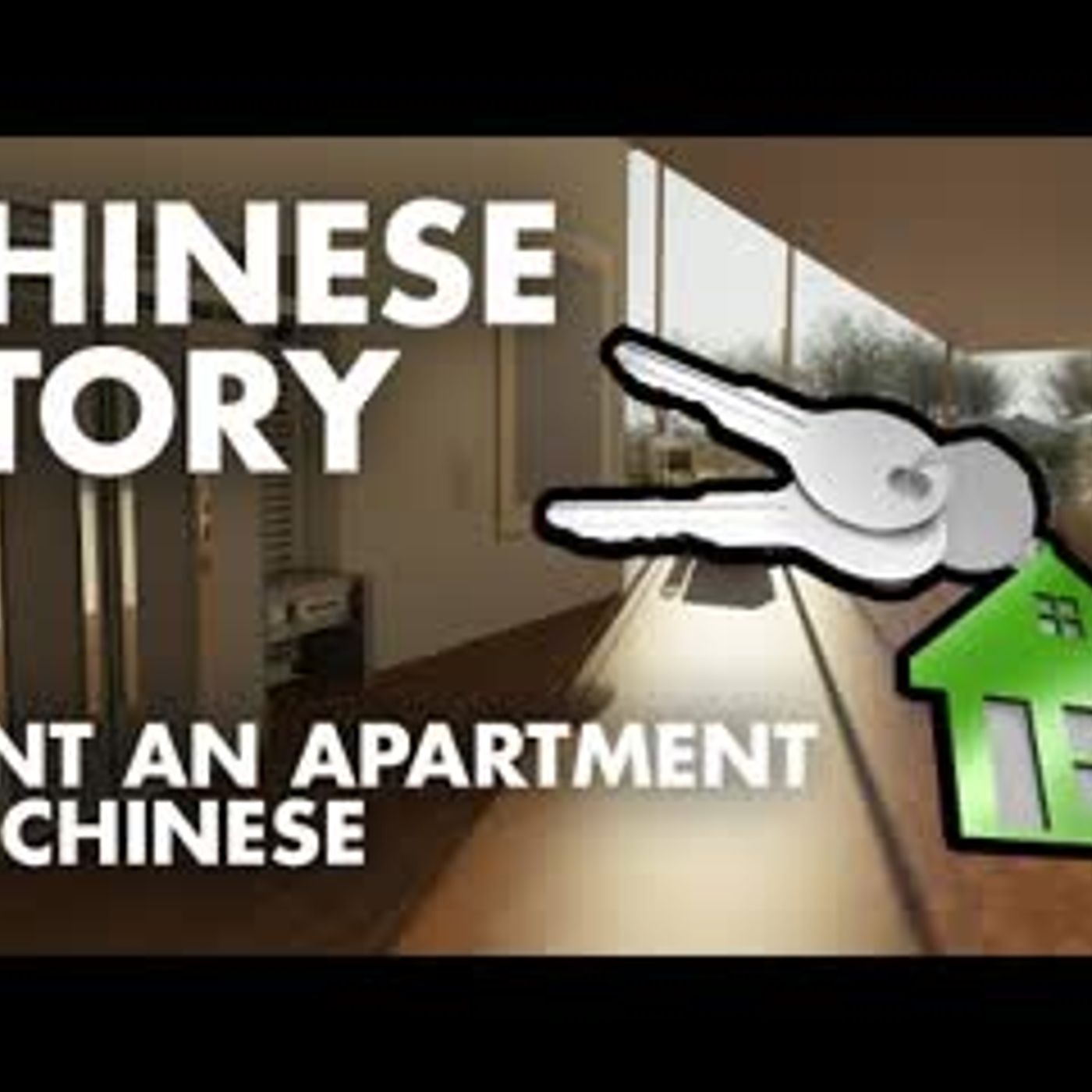 Learn Chinese for Beginners   Chinese Speaking Conversation HSK1 Listening Practice V.I episode artwork
