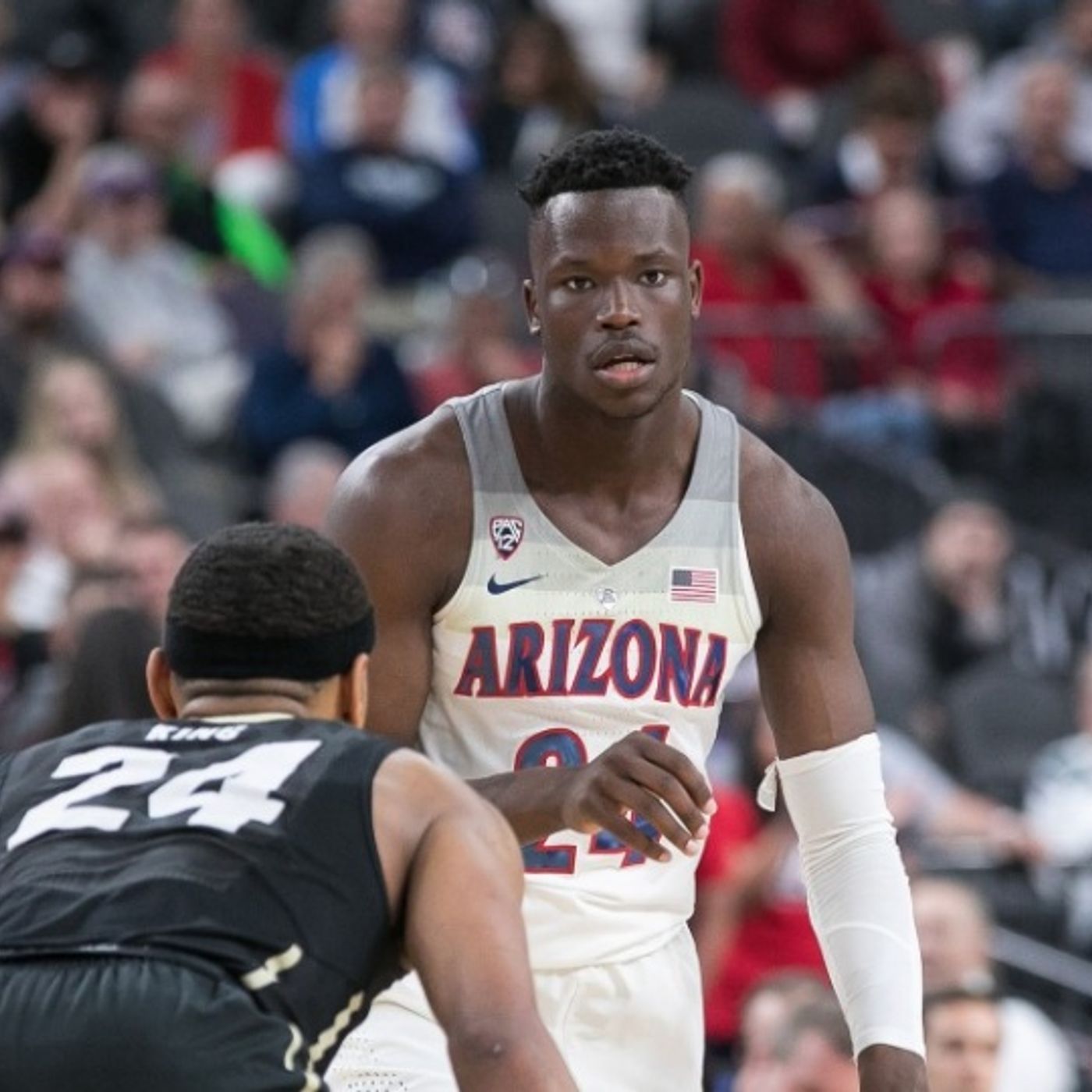 Ep.33 : Akot transferring, Cats look good in the Bay and a Gilbert Arenas story. episode artwork