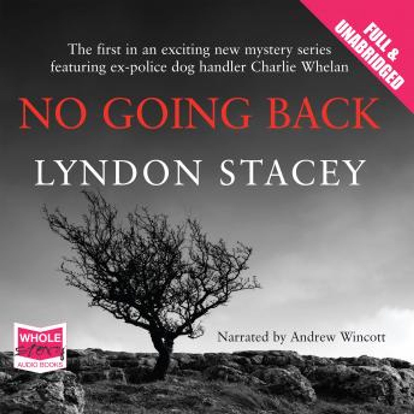 No Going Back by Lyndon Stacey episode artwork