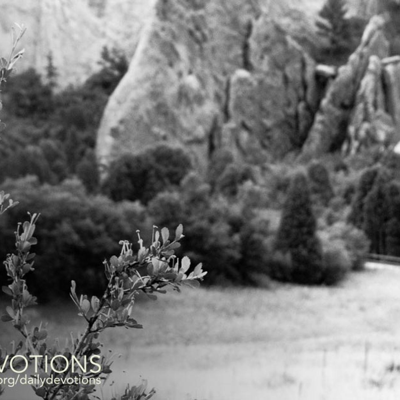 Fear — Daily Devotions cover