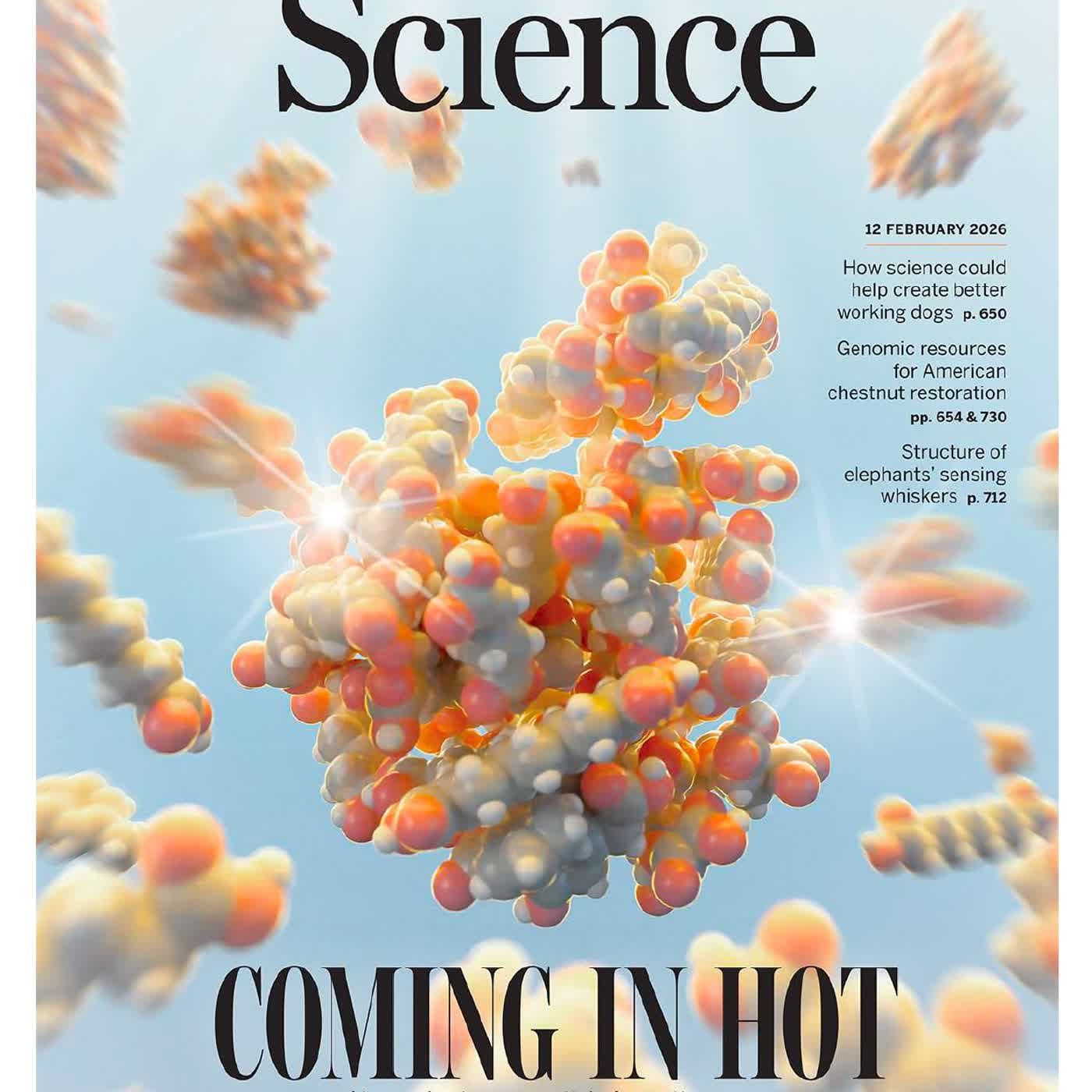 LOAKLLISAI cover art