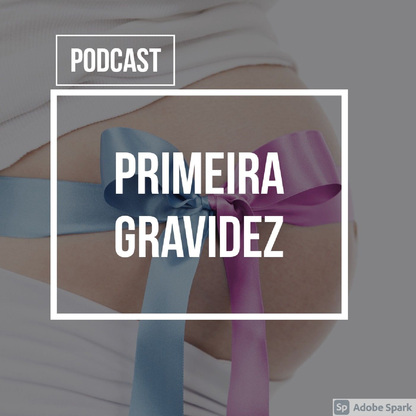 Primeira Gravidez