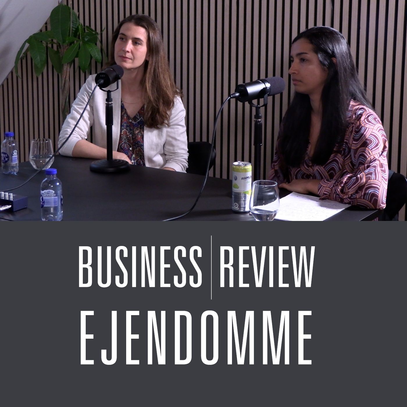 BusinessReview Ejendomme