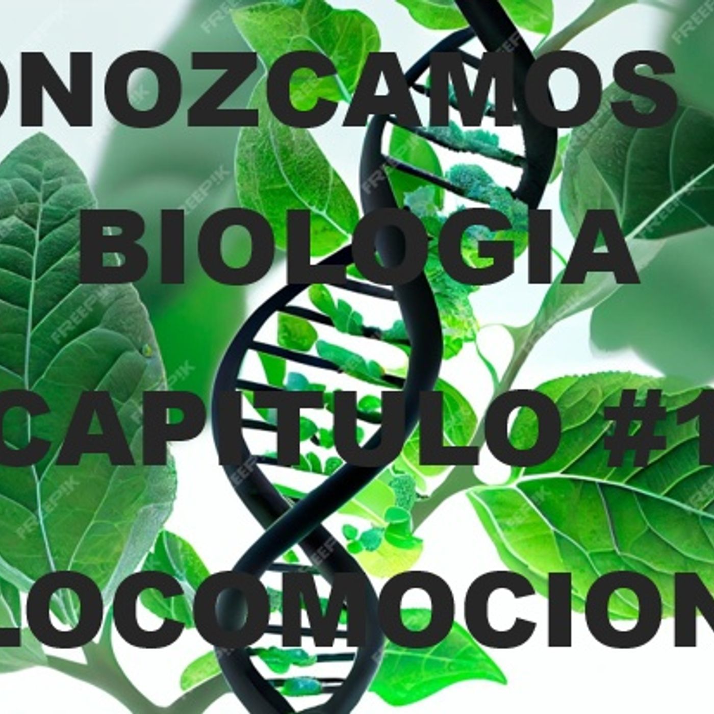 Conozcamos la biologia
