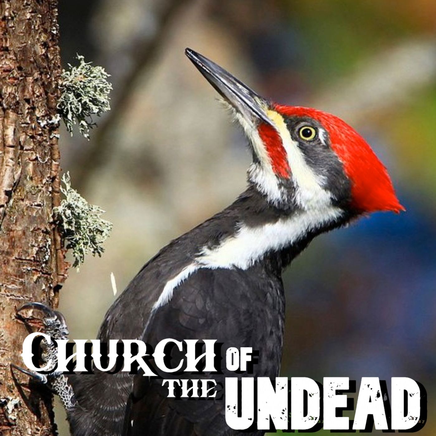 “BANGING HEADS AGAINST THE TREE OF EVOLUTION” #ChurchOfTheUndead