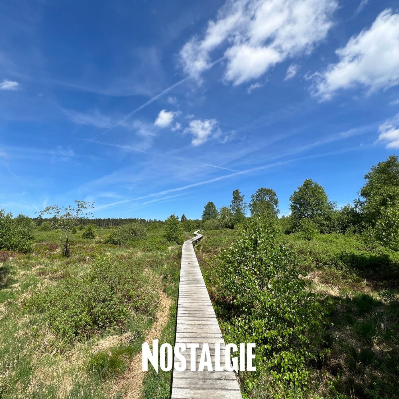 Malmedy avec Justine : balades dans les fagnes, brasserie Peak et itinéraire de la mémoire episode artwork