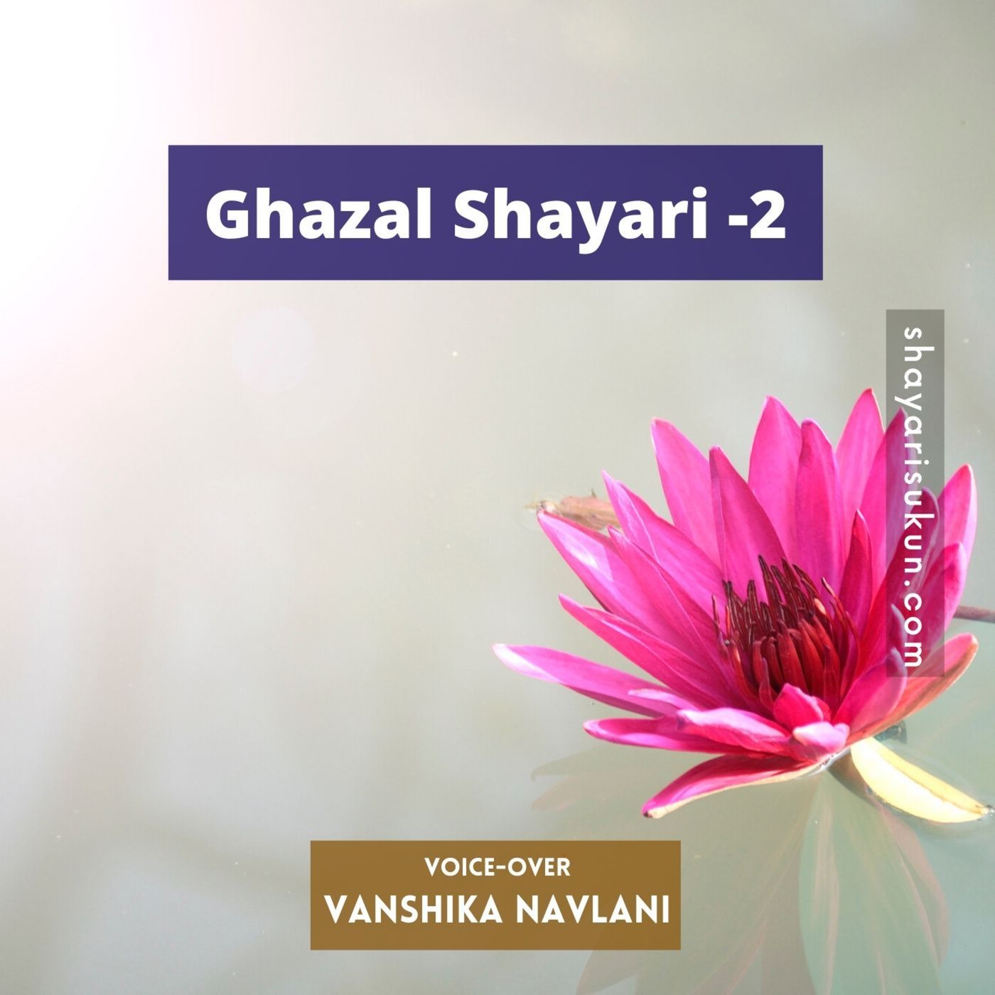 Shayari Sukun | शायरी सुकून