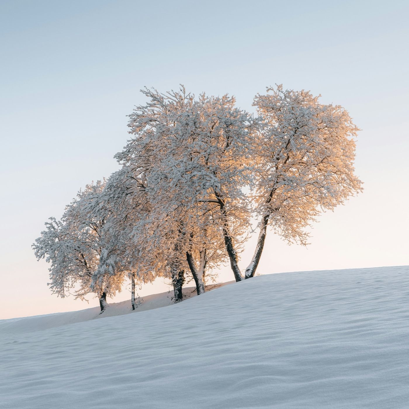 Poesia e adesso… vado via podcast artwork