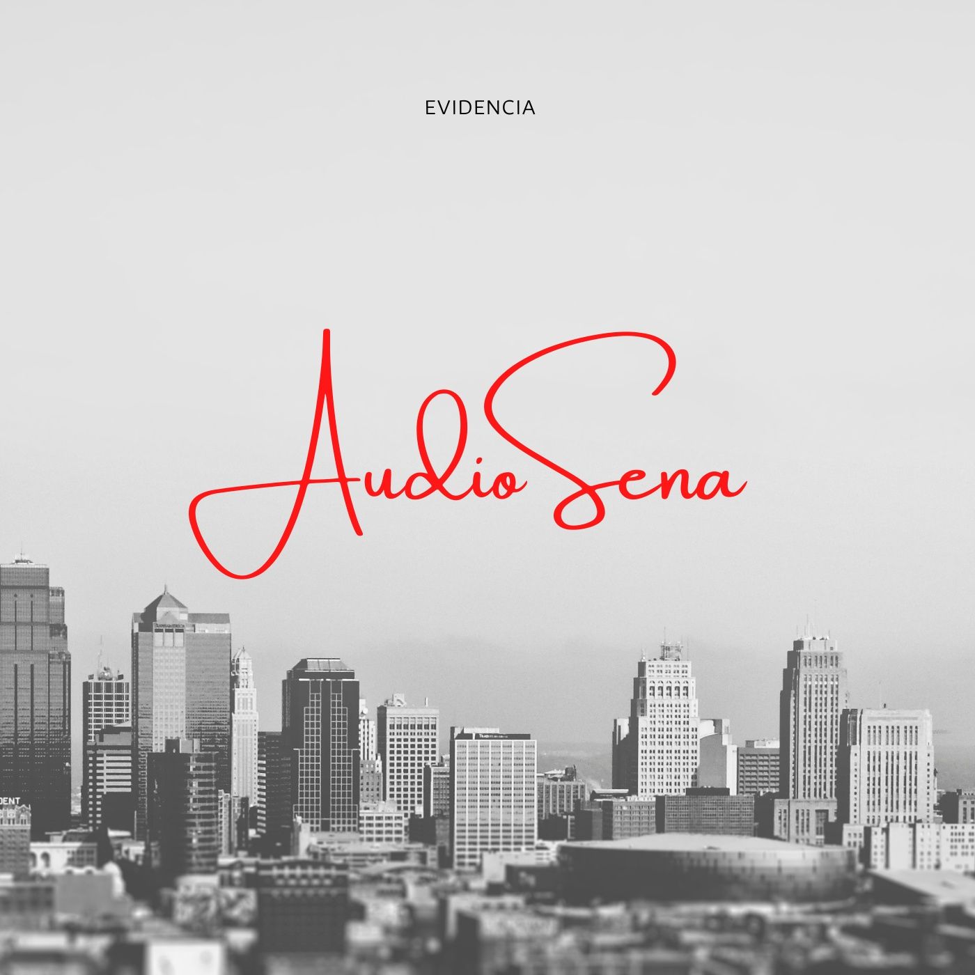 Evidencia SENA. Audio