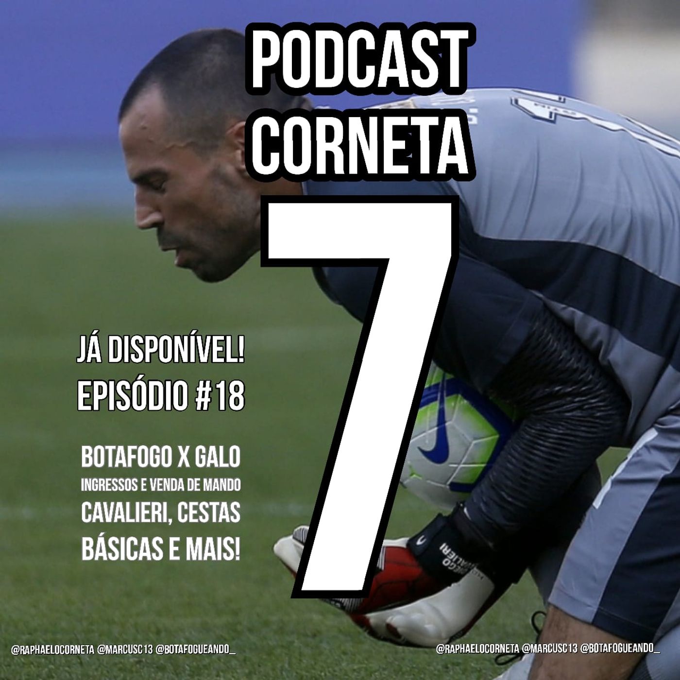 [18] Cestas básicas / BOTAFOGO x Galo / Diego Cavalieri / Ingressos e venda de mando