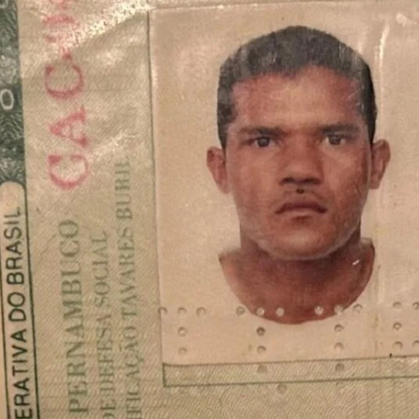 Rede Seta Notícias