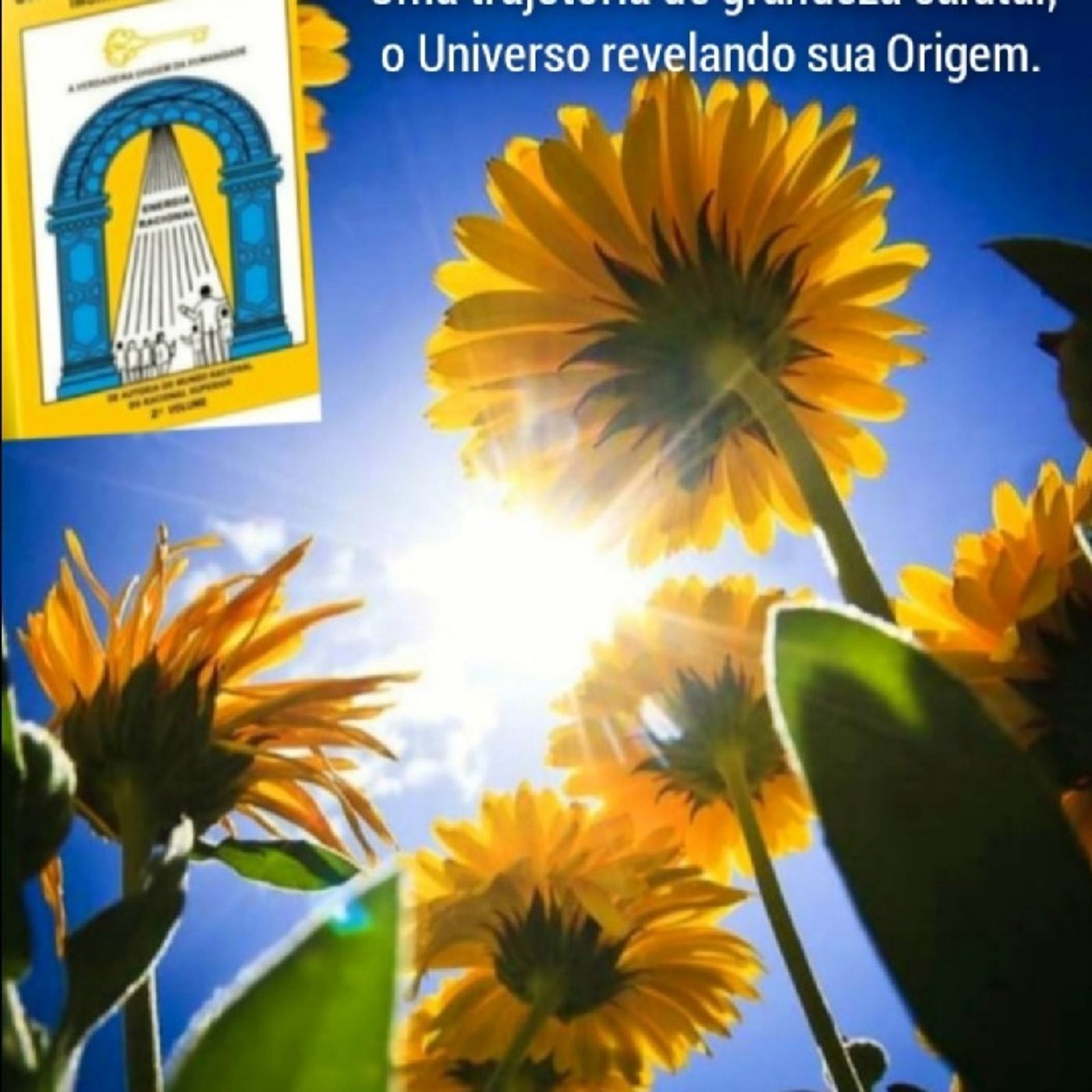IMUNIZAÇÃO RACIONAL episode artwork