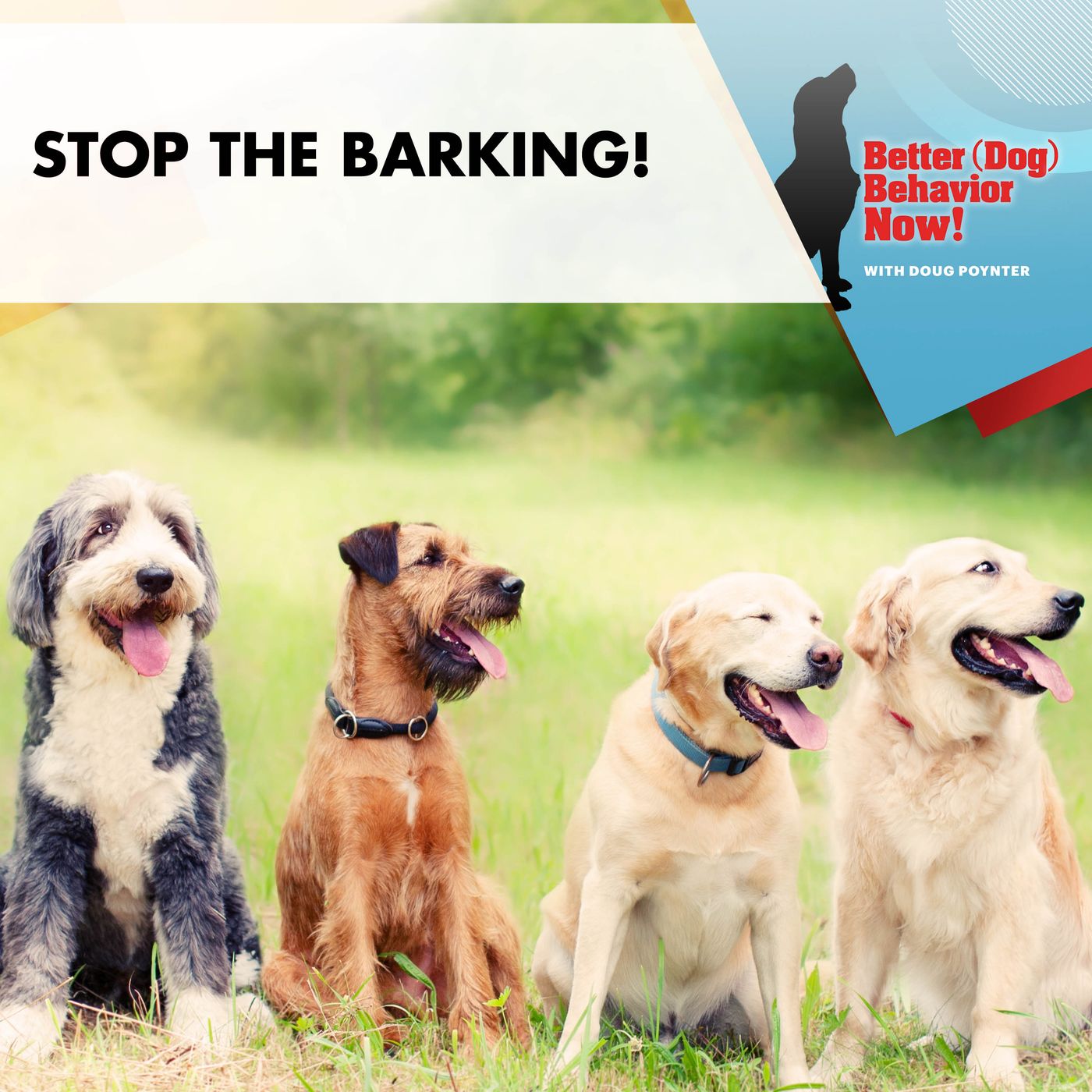 Stop The Barking! episode artwork
