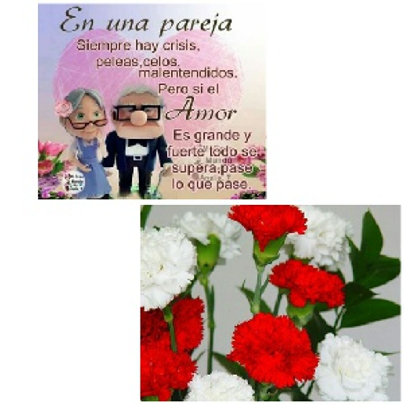 JC Pivara Trejo