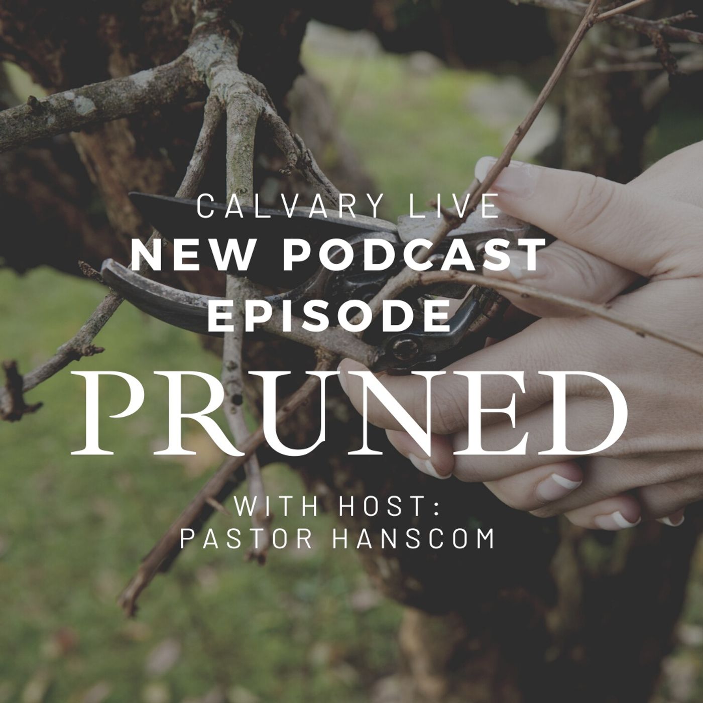 Pastor Hanscom- Pruned. Wed, June 23, 2021.