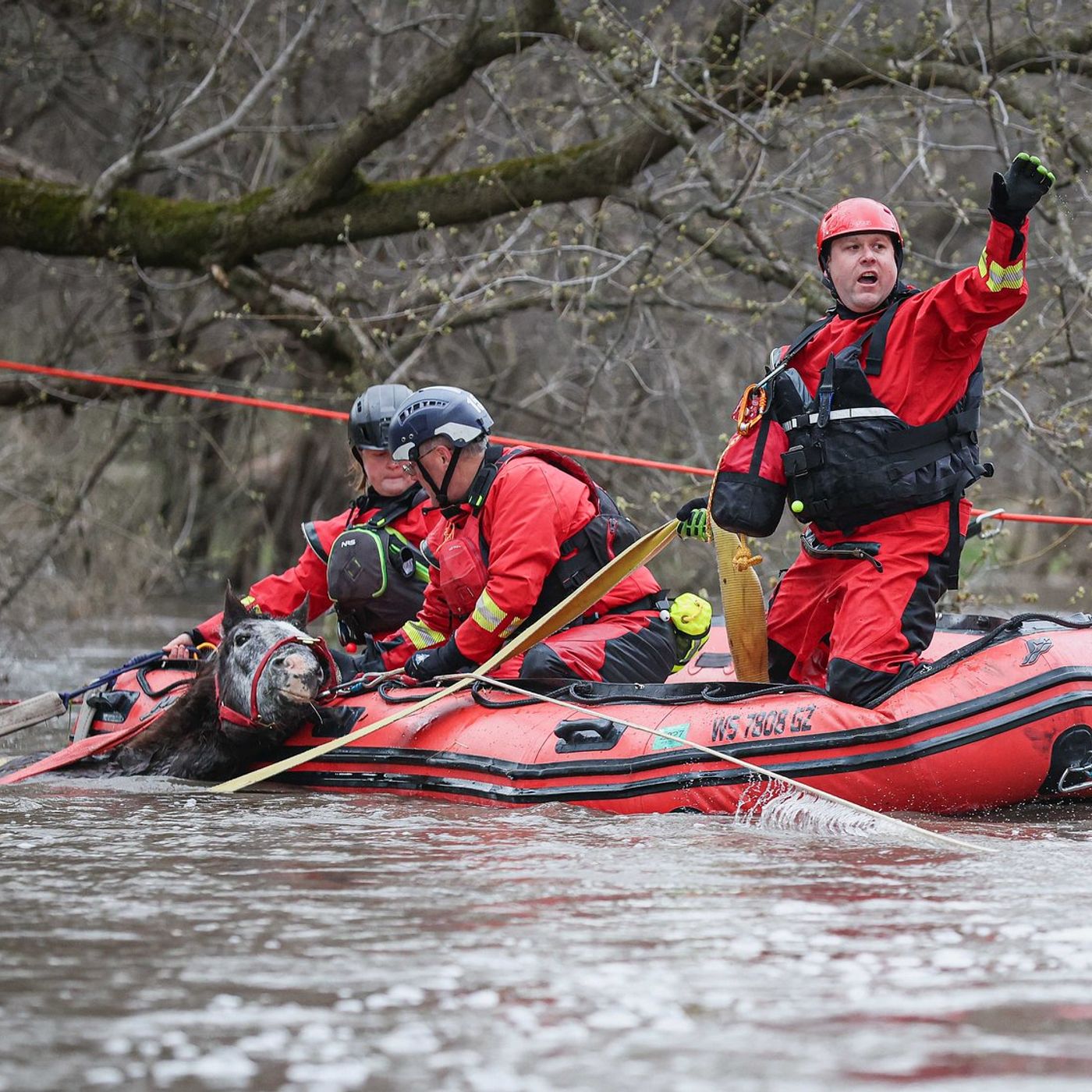 Horse rescued from floodwaters near Marengo after hours-long effort episode artwork