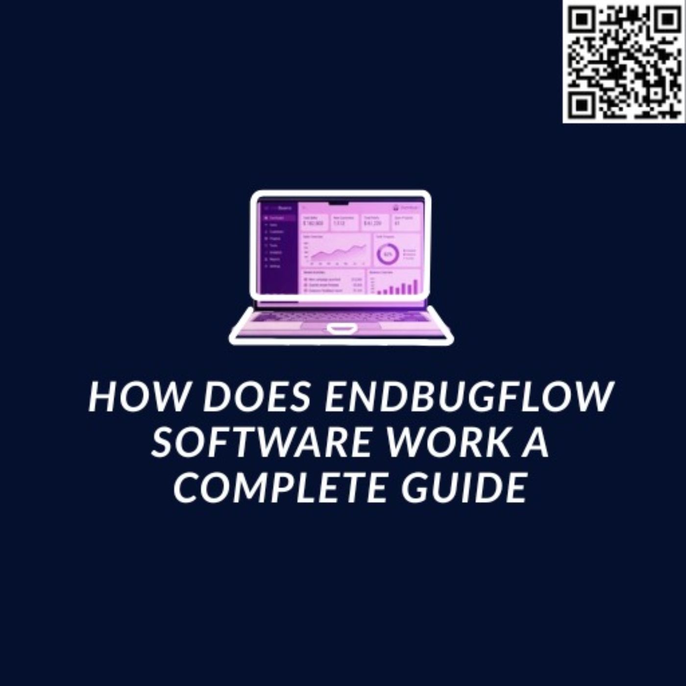 How Does EndBugFlow Software Work? podcast artwork