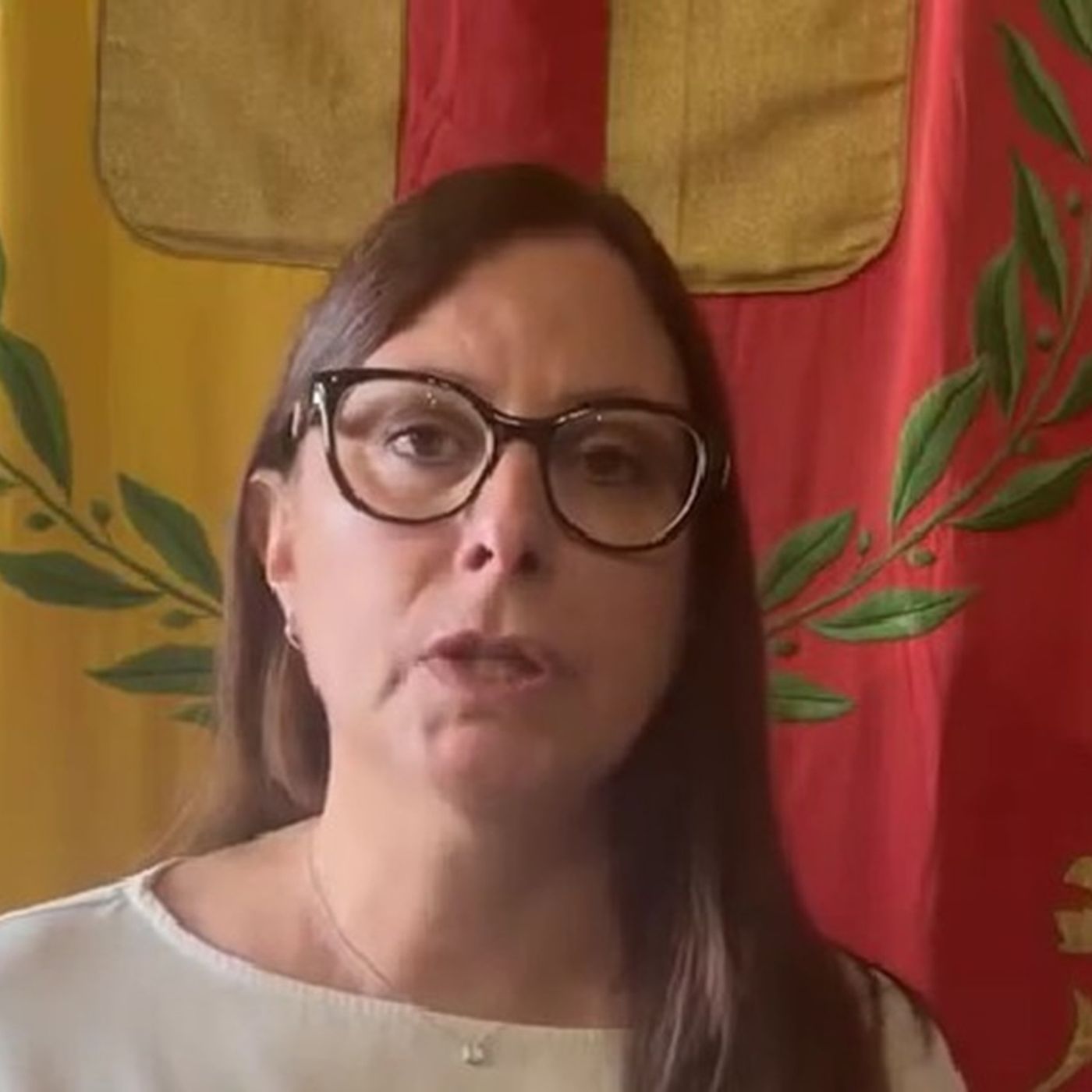 Sicurezza e degrado, Fn all’attacco. Marigo presenta il nuovo servizio di vigilanza episode artwork