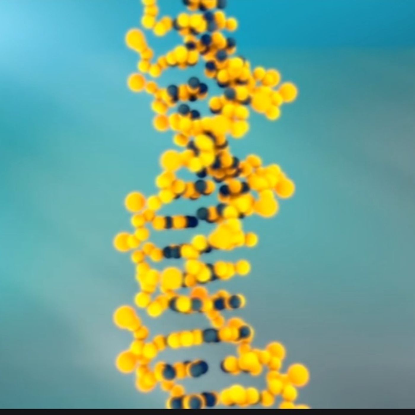 S55E26: Is There A Gene That Causes People To Exhibit Problem Behaviour Like Impulsive Aggression