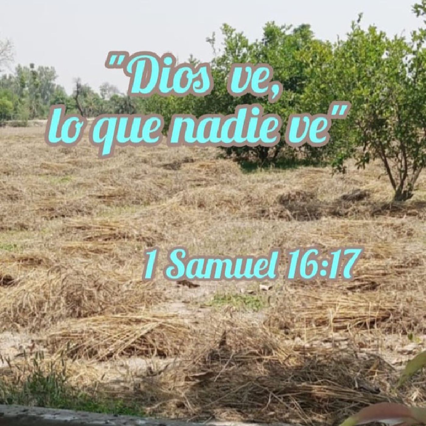 Episodio 43 - "Dios ve lo que nadie ve"