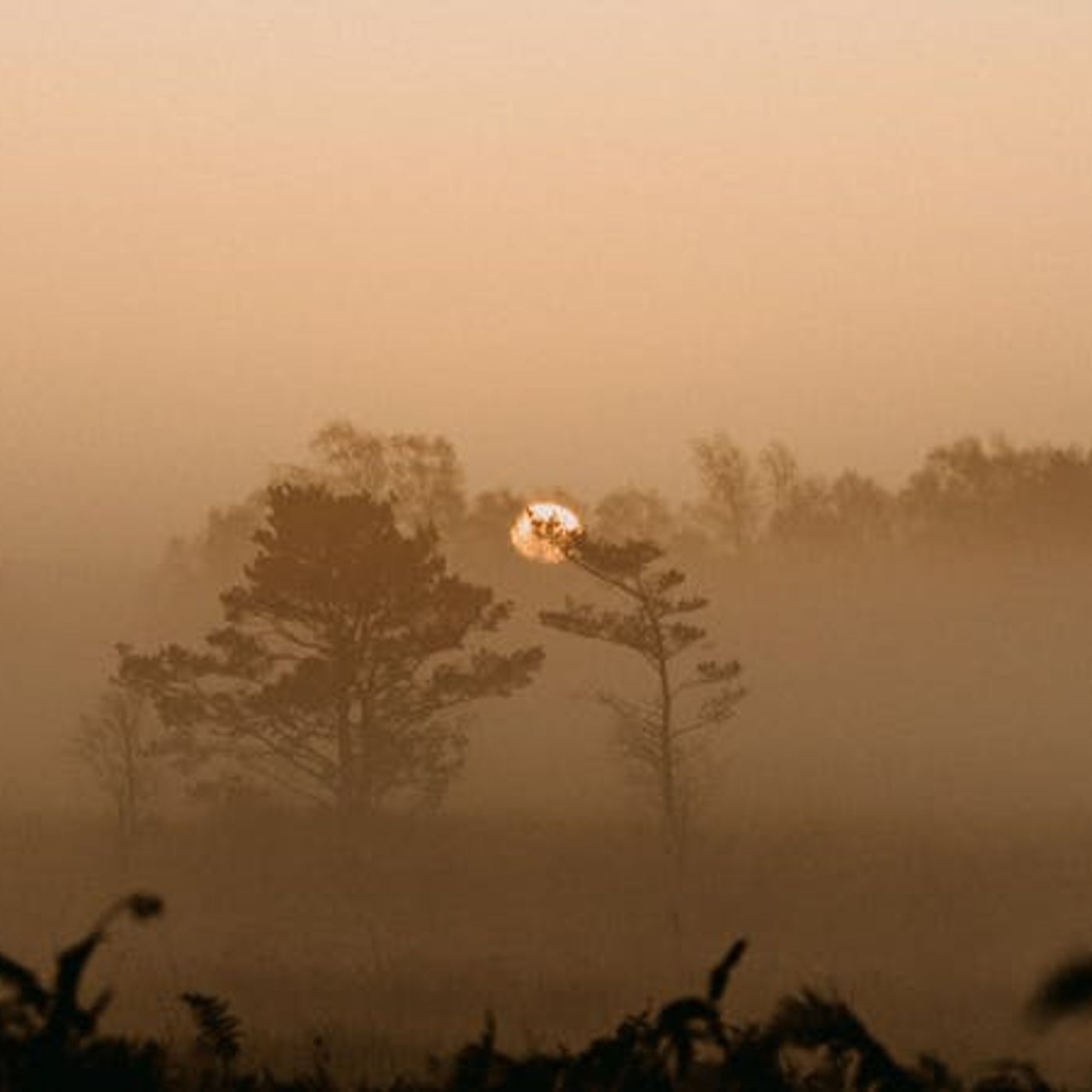 Does God Send ‘Strong Delusions’ into the World?