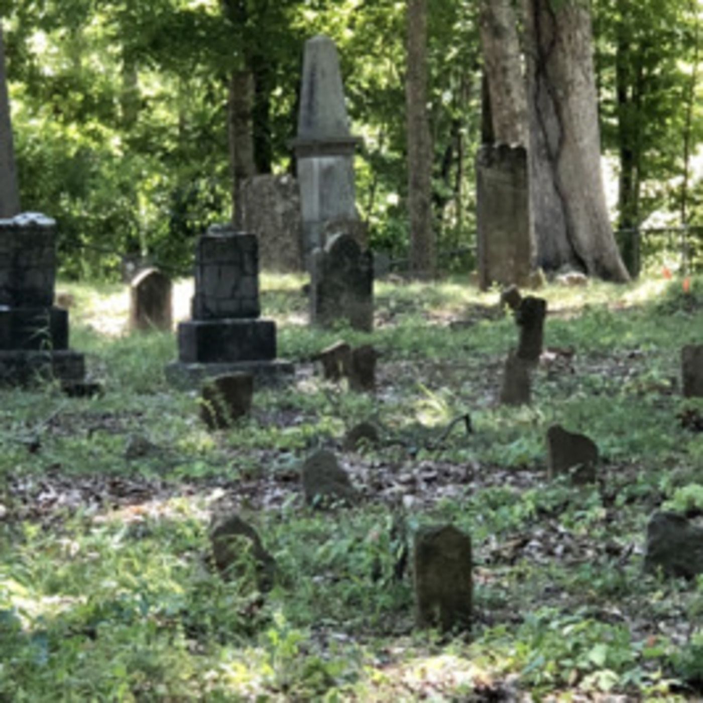 Episode 146: Iceboxes and Cemeteries: True Crime and Hauntings in Houston