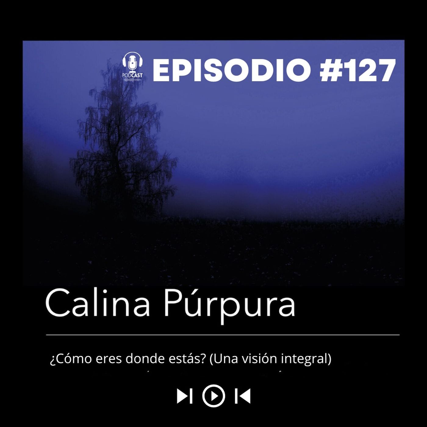 #127 ¿Cómo eres donde estás? Una visión integral episode artwork