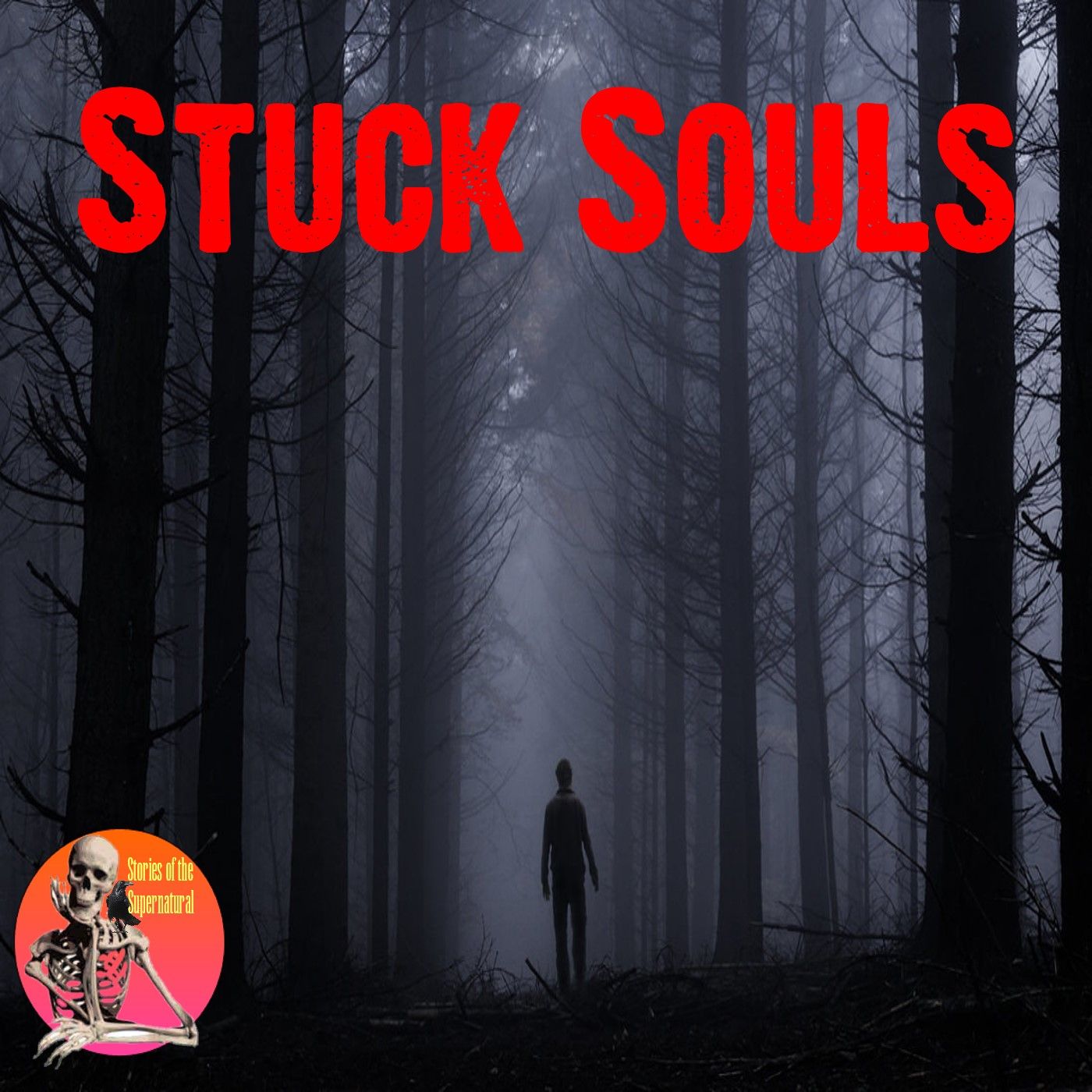 Stuck Souls | Interview with Father Nathan Castle | Podcast