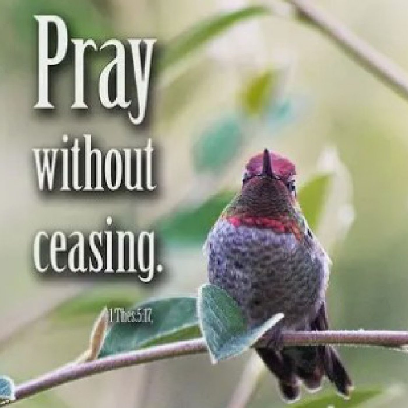 Pray Without Ceasing