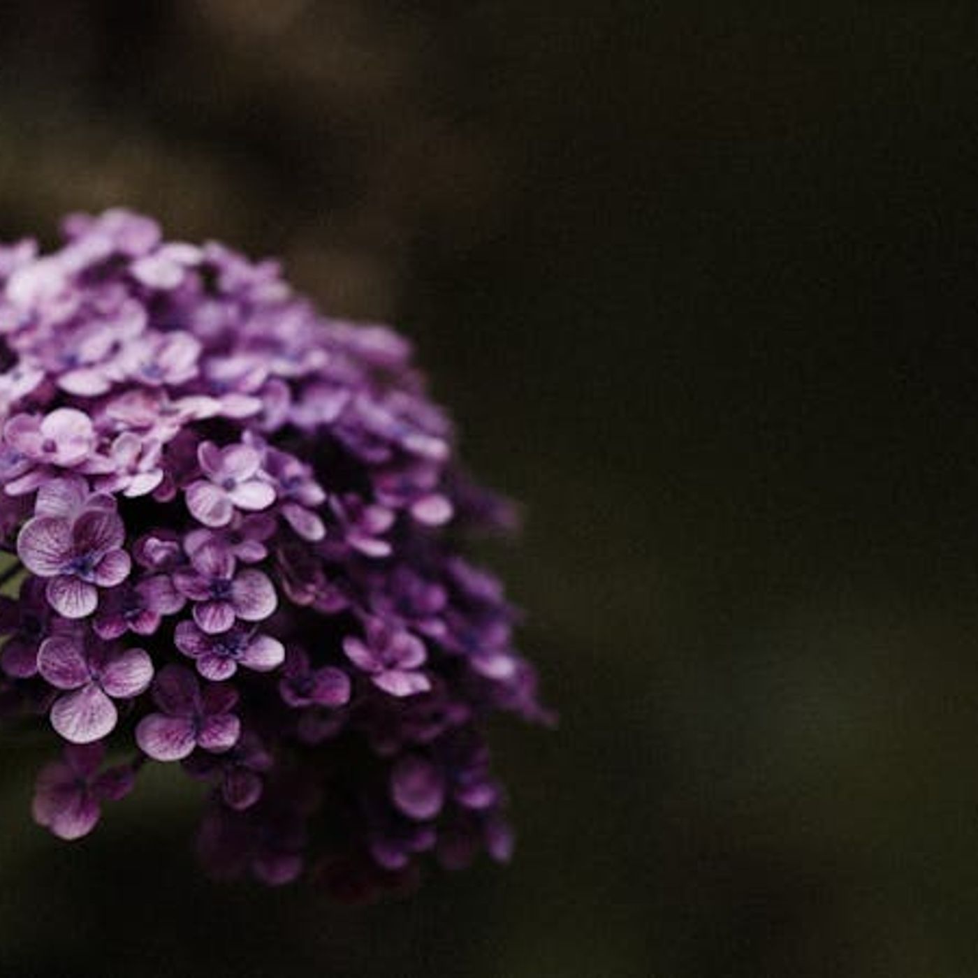 Christian Marries Non-Christian — How Does a Church Respond?