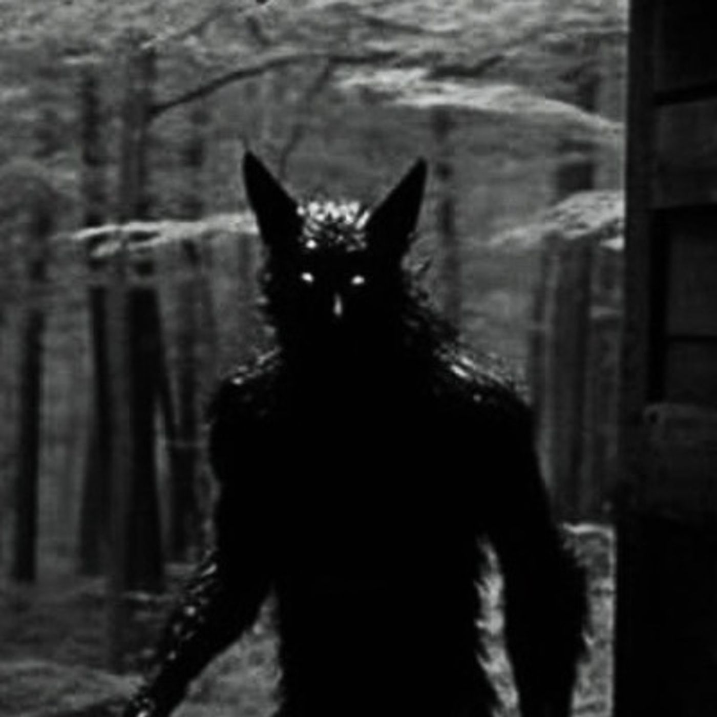 Capturamos A Un Nahual Historias De Terror - REDE