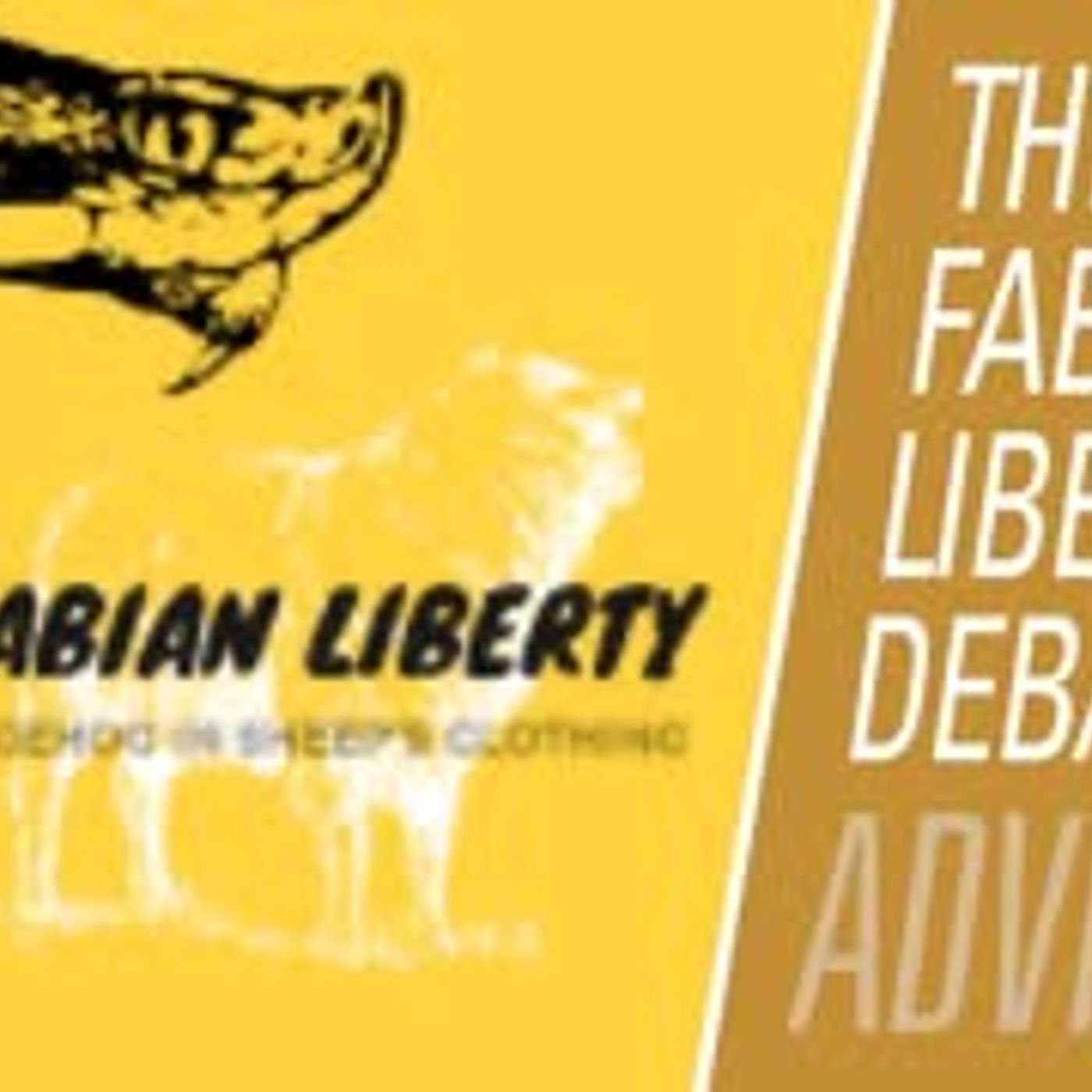Feminism is just like men's rights! Debating with FabianLiberty | Fireside Chat 244