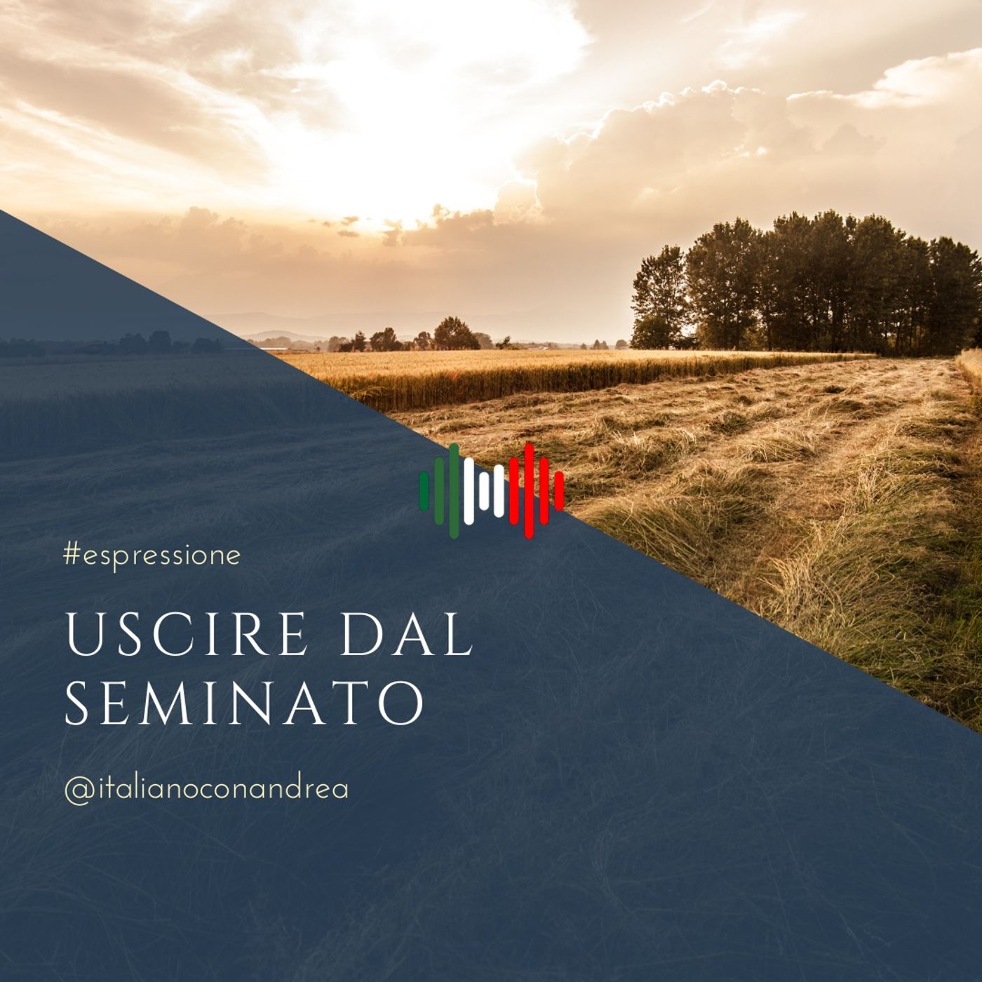 249. ESPRESSIONE: Uscire dal seminato