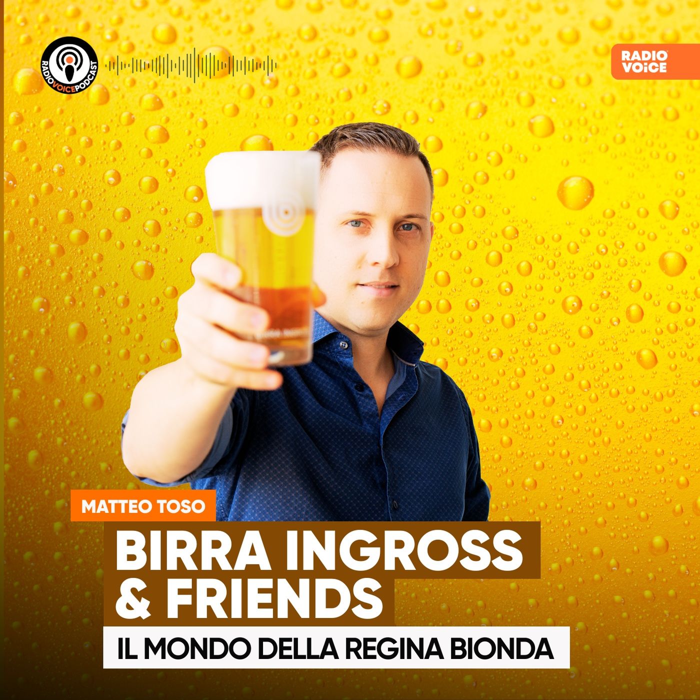 Birra Ingross & friends - Radio Voice