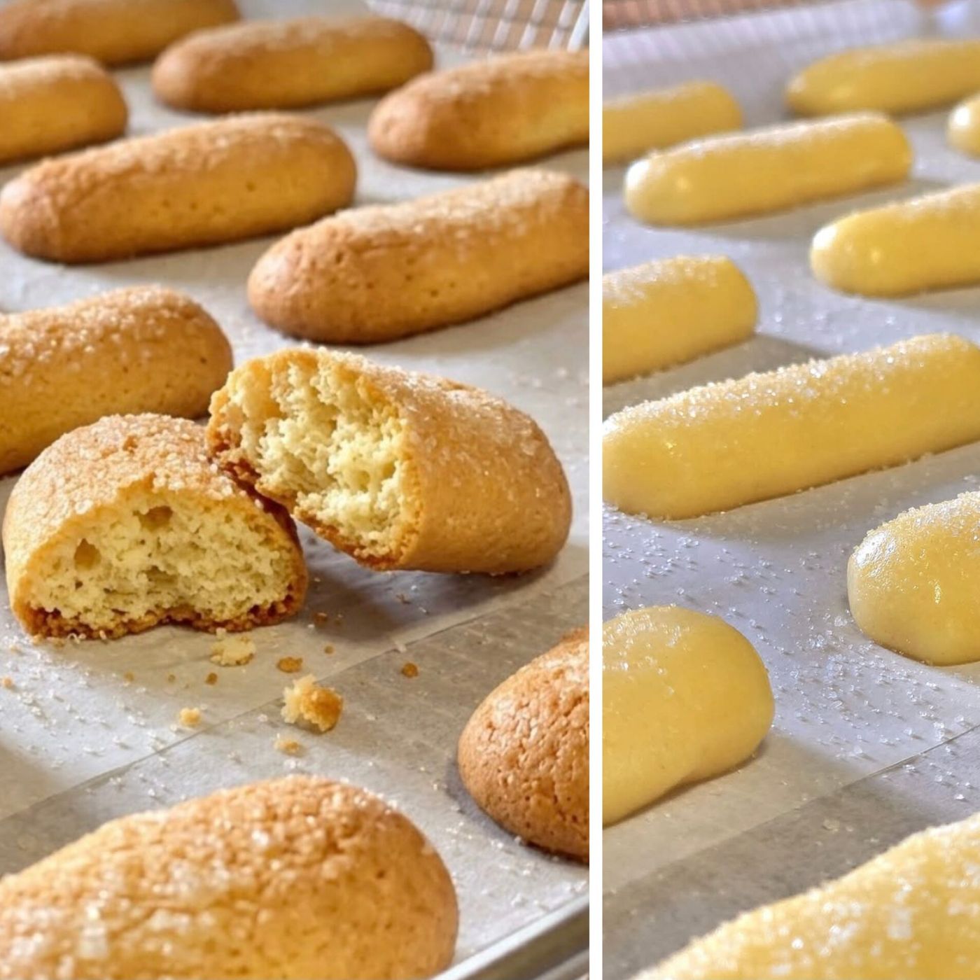 Biscotti antichi da inzuppo come dal panificio: dolce ricetta da fare in casa