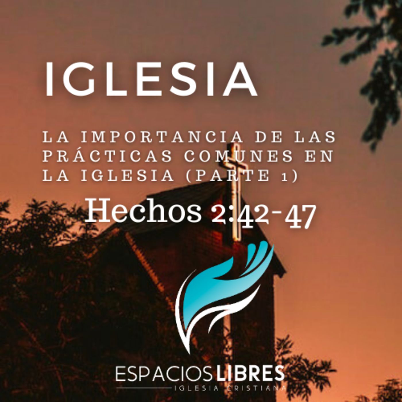 IGLESIA CRISTIANA ESPACIOS LIBRES