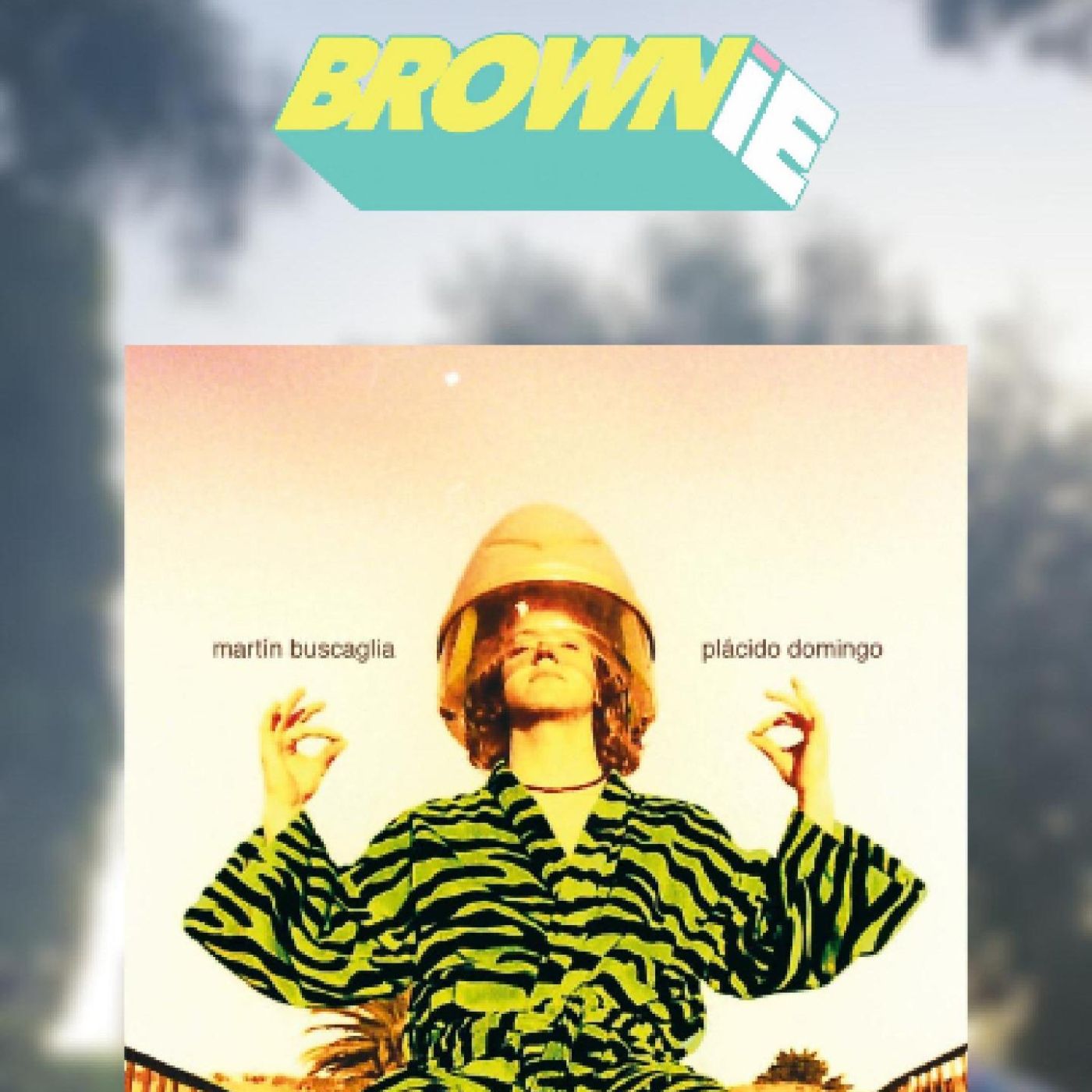 Brownie